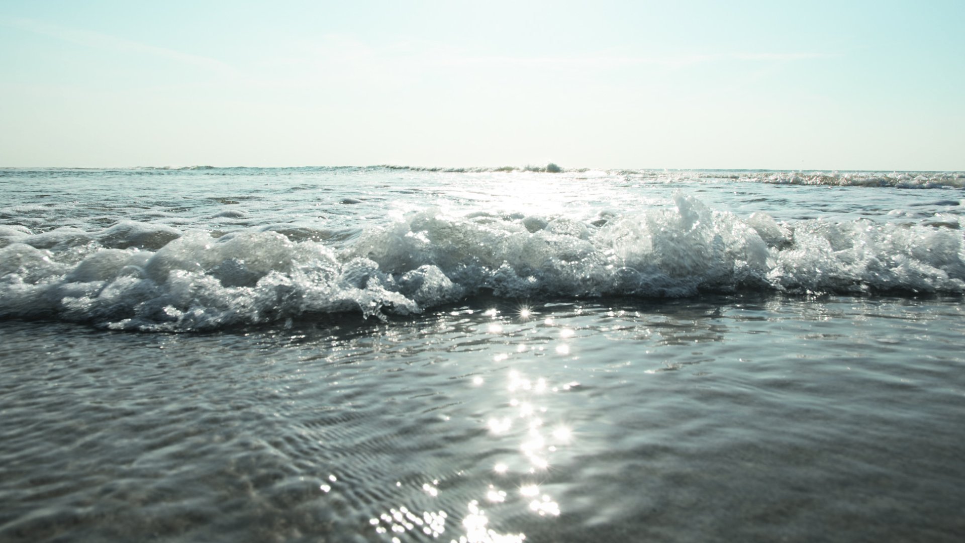 cms.banner_img