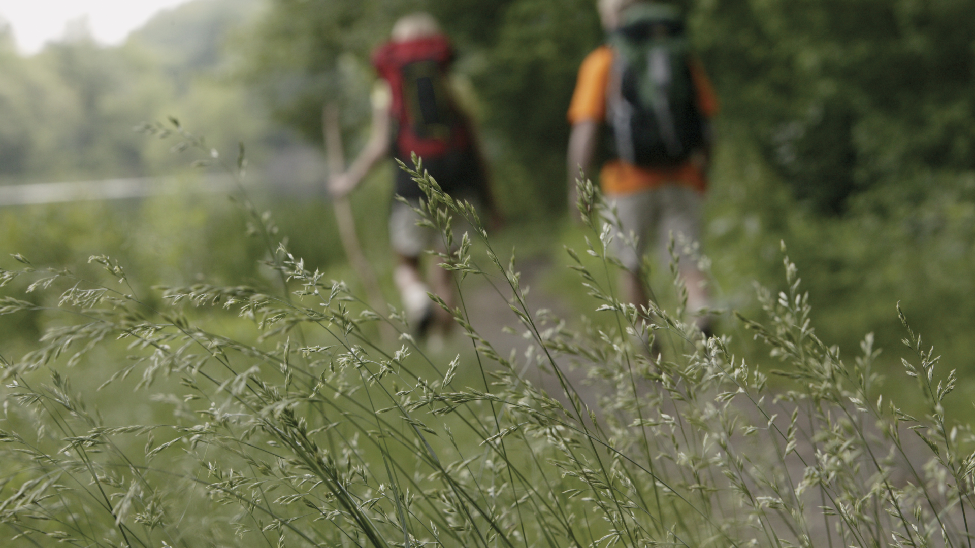 Der 13. Rügener Wanderfrühling
