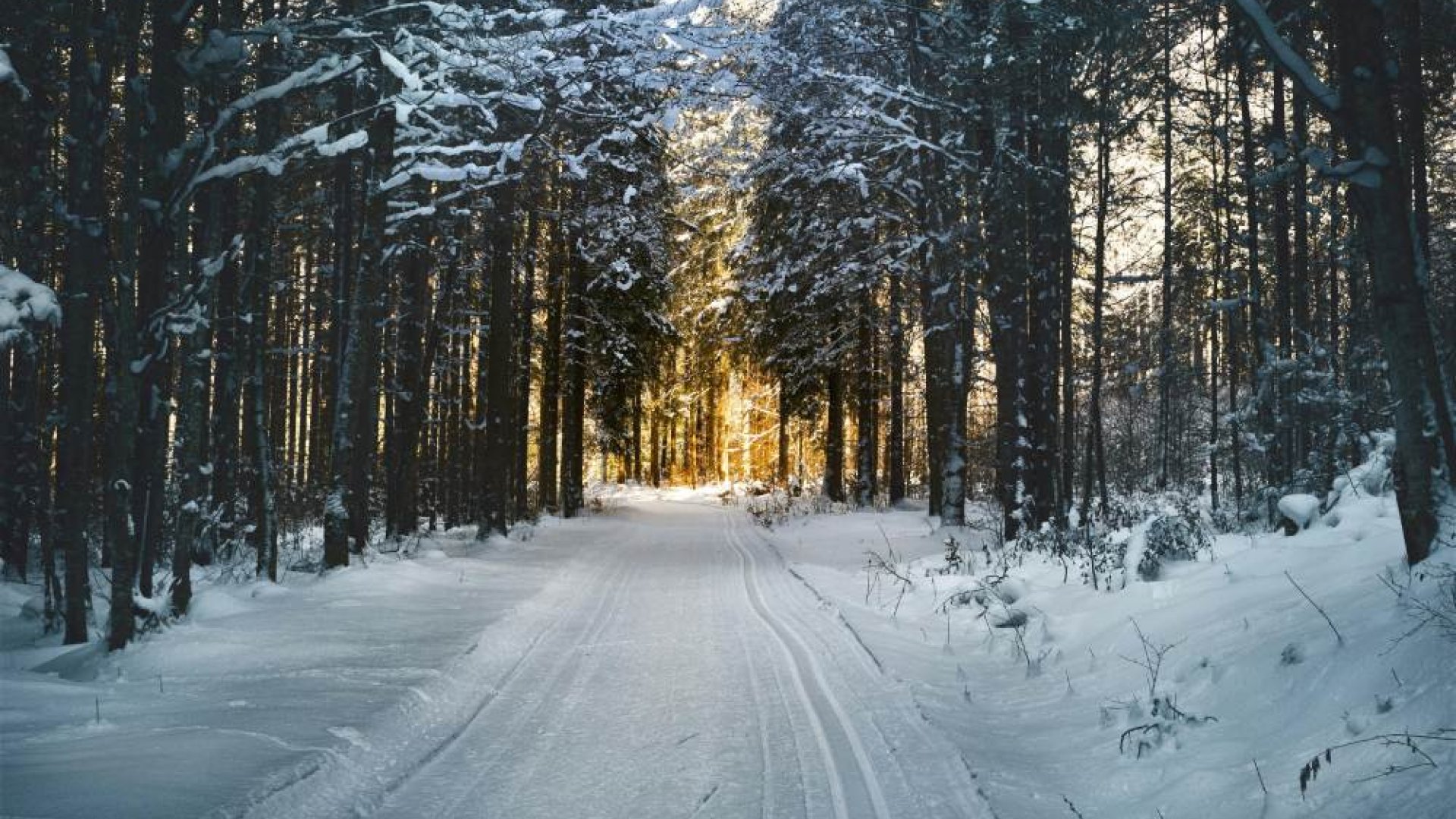 Rügen im Winter: Wenn die Ostsee zur Ruhe kommt
