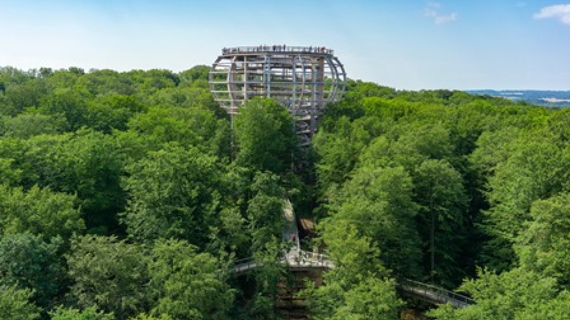 Tree top walk in the Naturerbe Zentrum Rügen