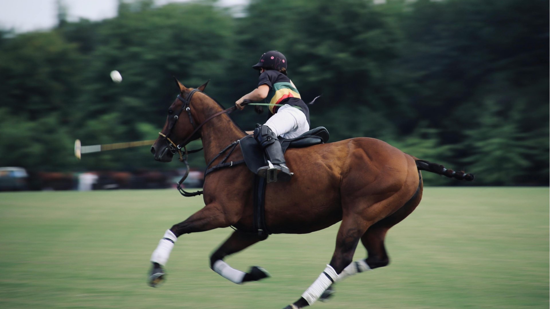 Beach Polo Championship Rügen