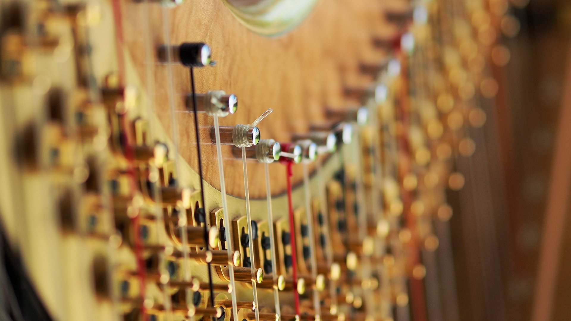 Festspielherbst Rügen