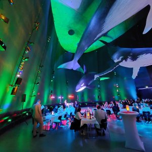 Ein unvergesslicher Abend im OZEANEUM: Betriebsfeier, Dankeschön & Kick-off 2026