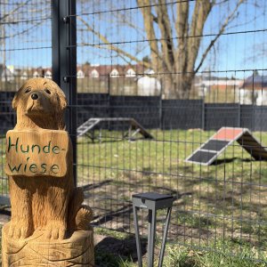 Eingezäunte Hundewiese für unsere vierbeinigen Gäste