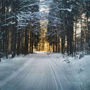 Rügen im Winter: Wenn die Ostsee zur Ruhe kommt