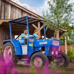 Karls Strawberry Farmyard