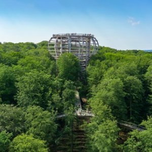 Tree top walk in the Naturerbe Zentrum Rügen