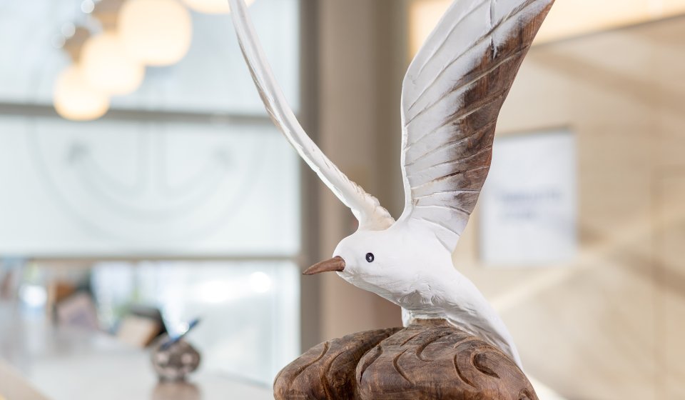 Ausflugsziele rund ums Parkhotel Rügen