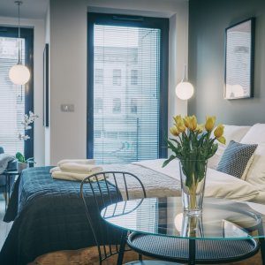 Przestronny apartament z dużym łóżkiem i aneksem kuchennym 