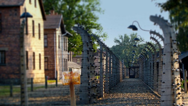 Druty kolczaste Auschwitz-Birkenau – ogrodzenia obozowe, które miały na celu utrzymanie więźniów w strachu i niewoli.