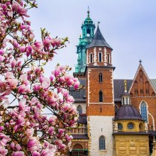 5 miejsc, które zachwycą Cię w Krakowie wiosną