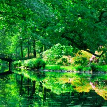 Gdzie we Wrocławiu wybrać się na wiosenny spacer?