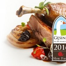 Gęsina na św. Marcina - kolejny raz u nas!