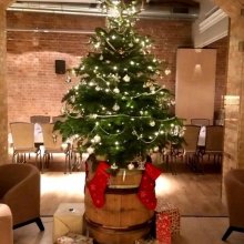 Boże Narodzenie: pakiety pobytowe w Q Hotel