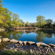 Den japanska trädgården