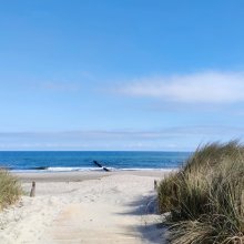 5 najpiękniejszych plaż w Gdańsku, które warto odwiedzić w te wakacje