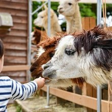 Małopolska z dzieckiem. Co warto zobaczyć?