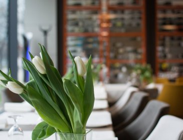 First Communion parties