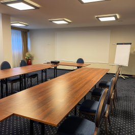 Konferencje