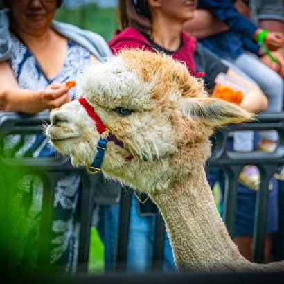 Veranstaltungen im Hotel