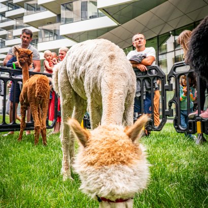 Veranstaltungen im Hotel