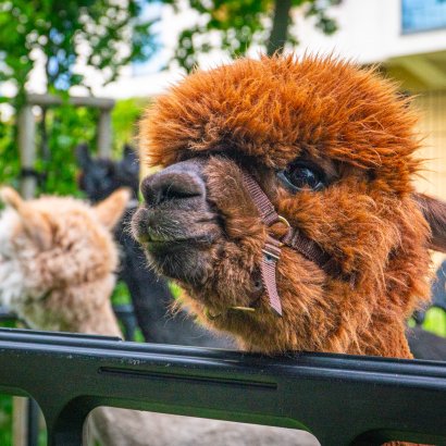 Veranstaltungen im Hotel