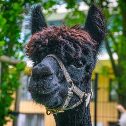 Veranstaltungen im Hotel