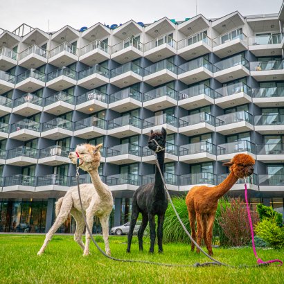 Veranstaltungen im Hotel