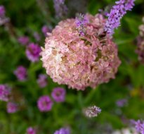 Ślub w plenerze, humanistyczny Poznań i okolice