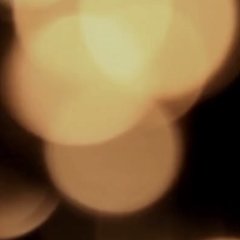 Andrzejki w Sezonach Vol. 4 / Jędrzej ZORAN Świerczyński