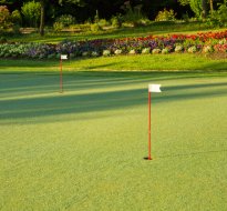 Golf in SunGarden