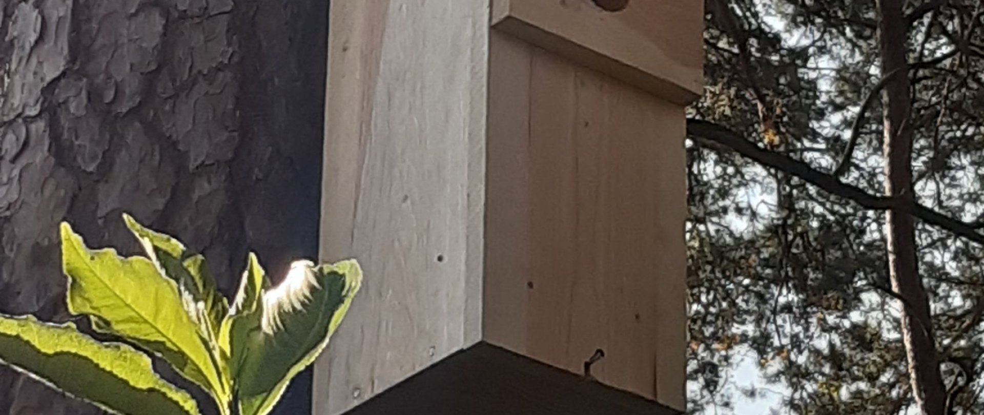 Troszczymy się o środowisko naturalne i żyjemy w zgodzie z naturą