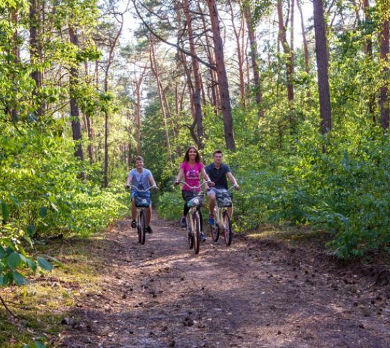 Galeria z dwoma zdjęciami