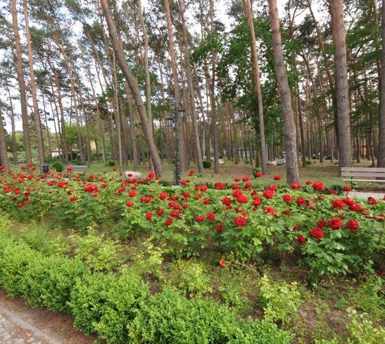 Galeria z dwoma zdjęciami