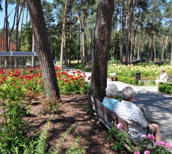 Galeria z dwoma zdjęciami