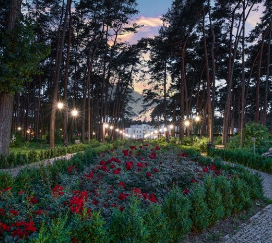 Galeria z dwoma zdjęciami