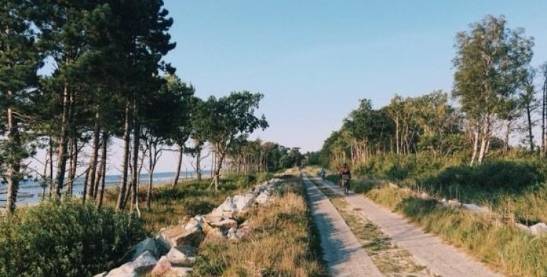 Szczegóły aktualności