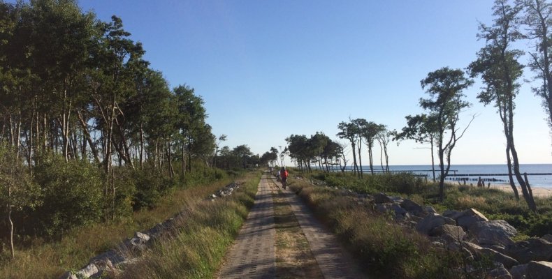 Szczegóły aktualności