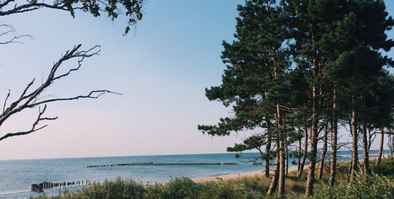 Szczegóły aktualności