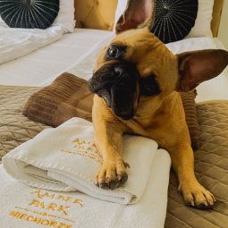 Amber Park Spa & Olivina Park & Zatoka Kulinarna