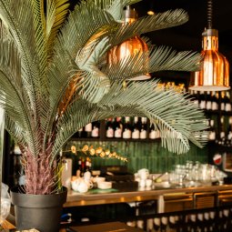 Umgebung & Ausstattung