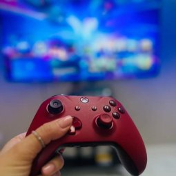 Attractions for children 