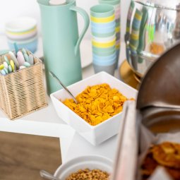 Attractions for children 