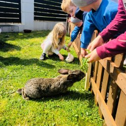 Attractions for children 