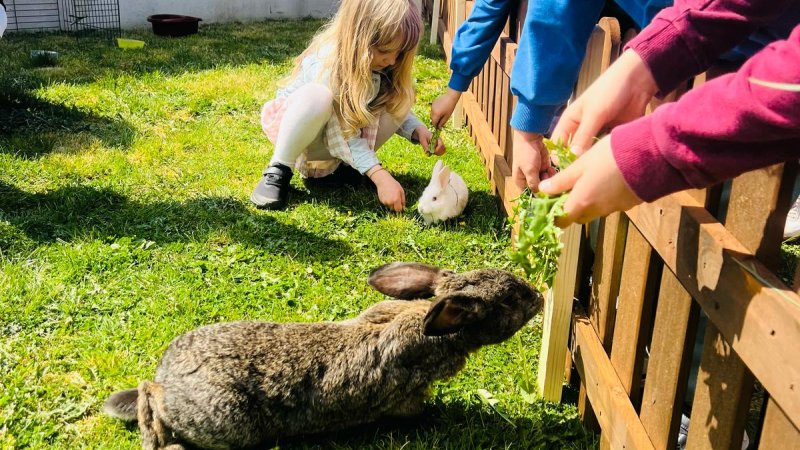 Attraktionen für Kinder 