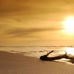 Beaches in Darłówek