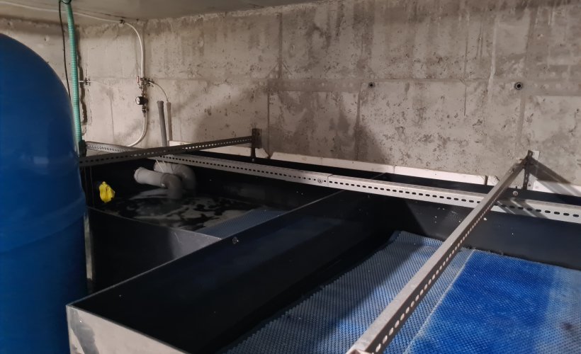 Projekt Rybactwo i Morze