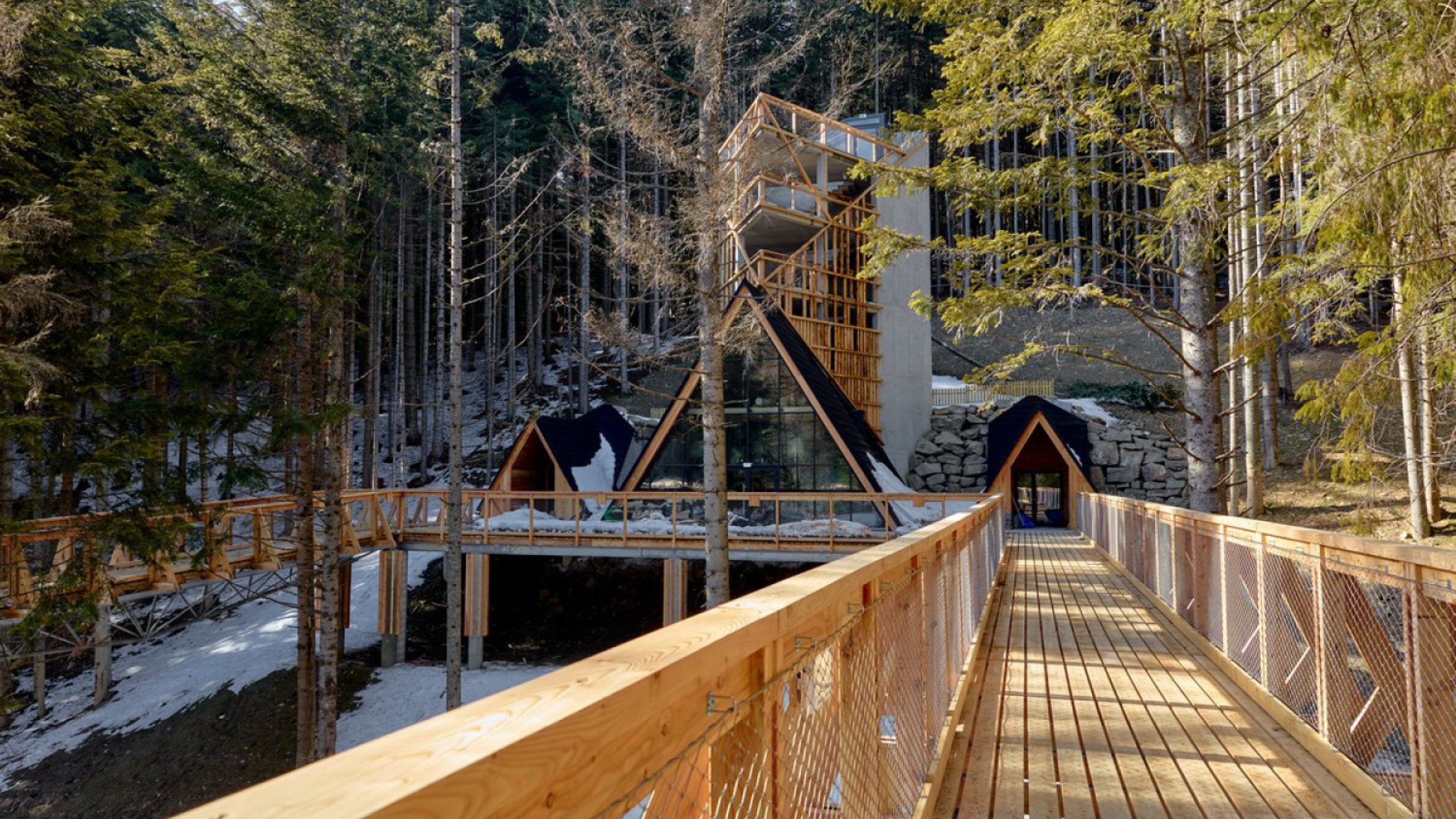 Brama w Gorce, ścieżka w koronach drzew 