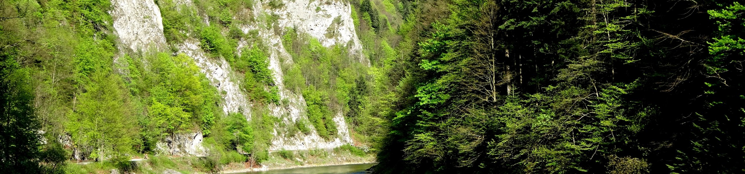 Dodatkowe udogodnienia