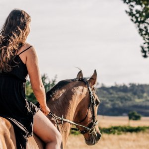 Stadnina Koni Rajd w Jaworkach